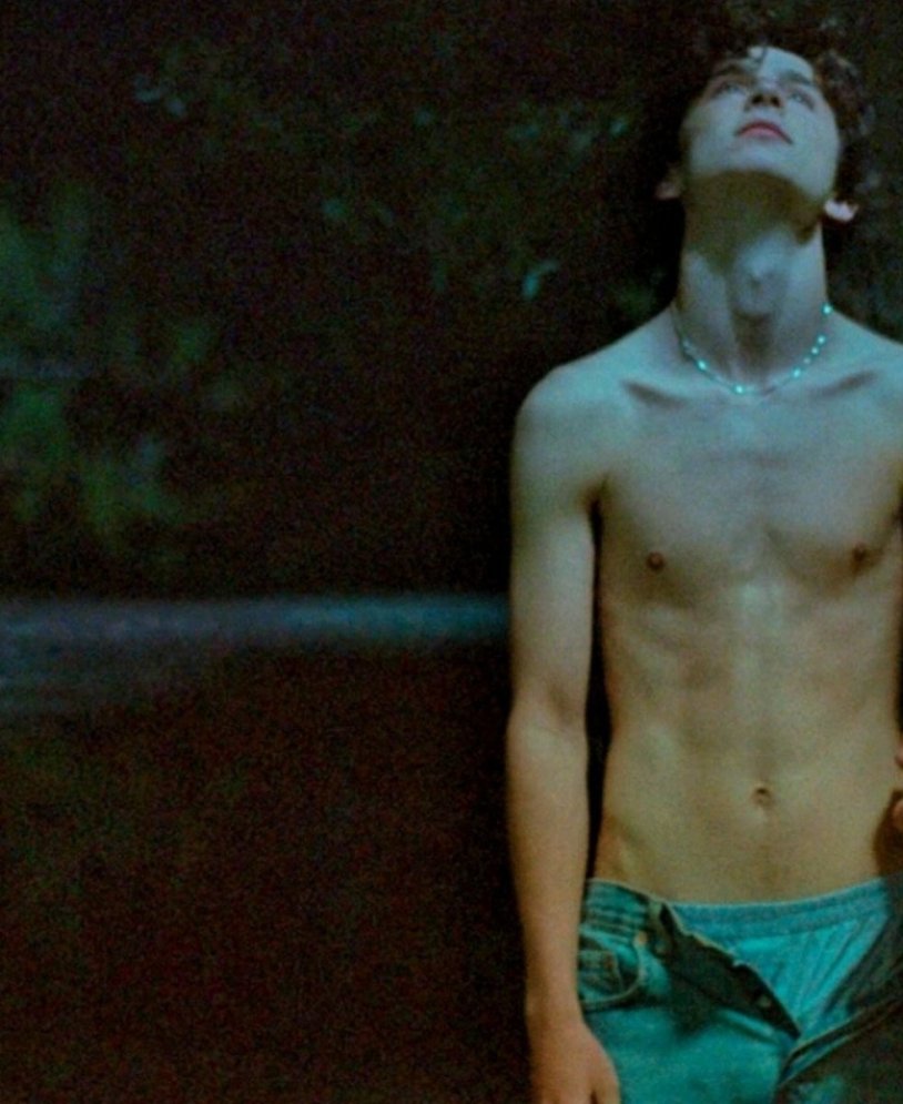 Timothy Shalame torso