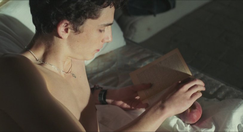 Timothy Shalame Press torsos