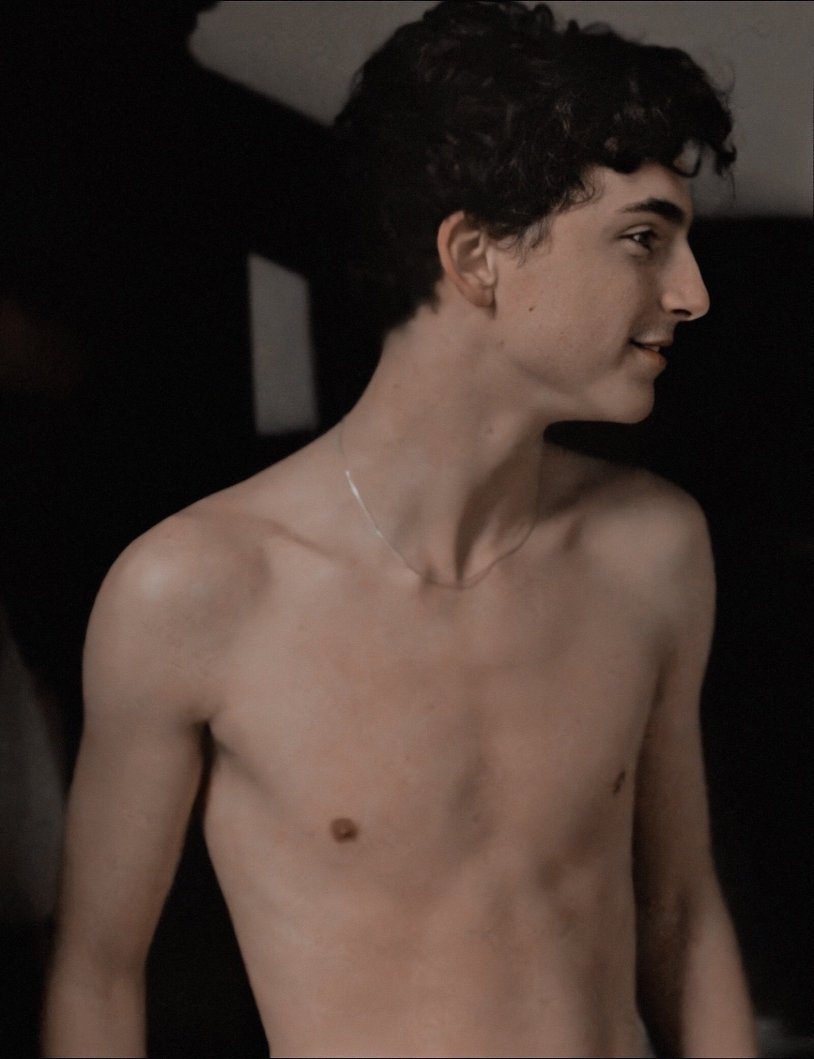 Timothy Shalame and Persian