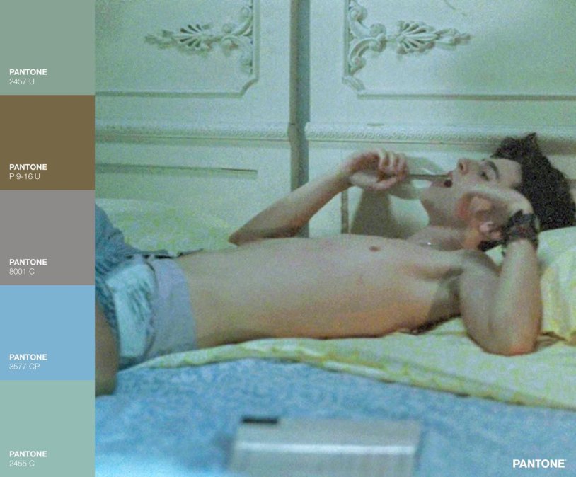 Timothy Shalame torso