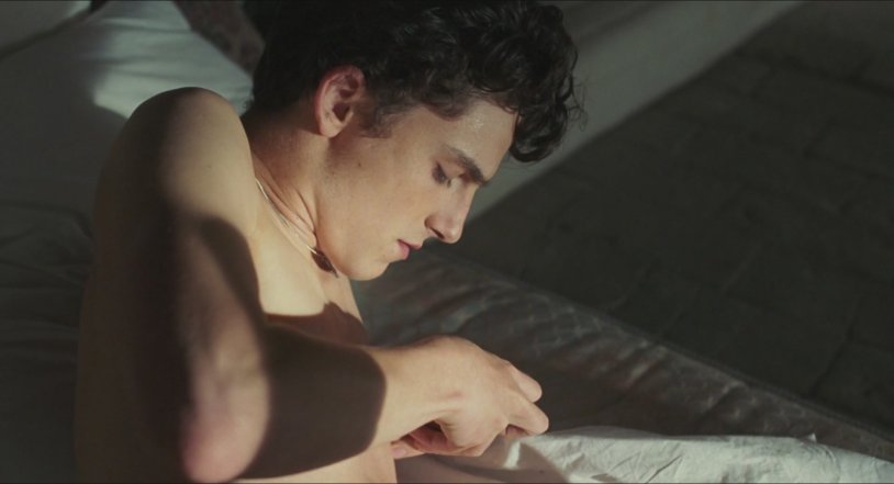 Timothy Shalame torso