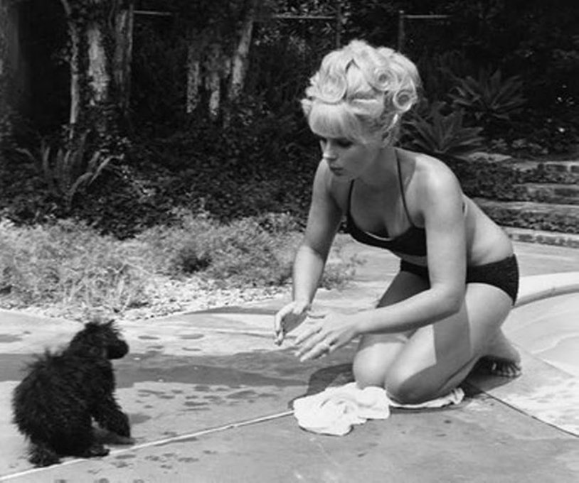 ELKE SOMMER Deadlier than the Male