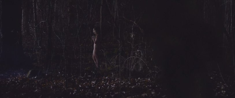 In the forest at night