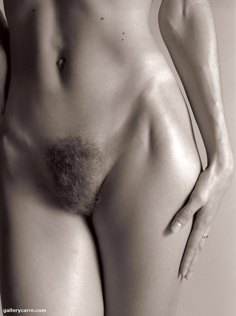 Beautiful hairy pubis