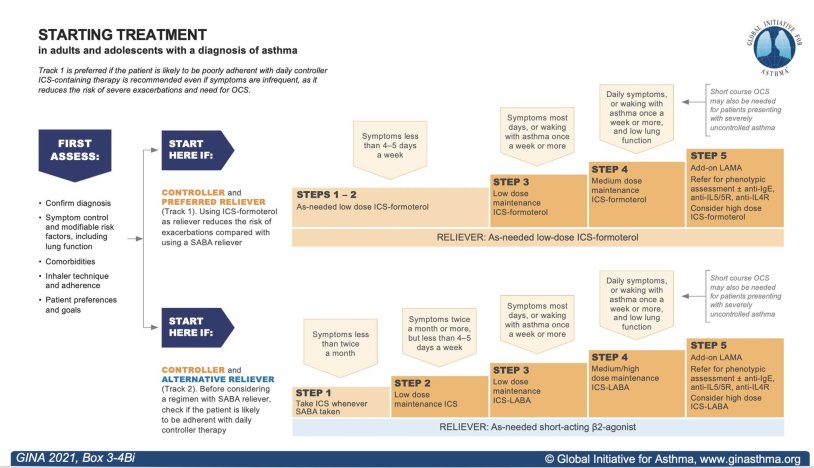 Gina Karano people X