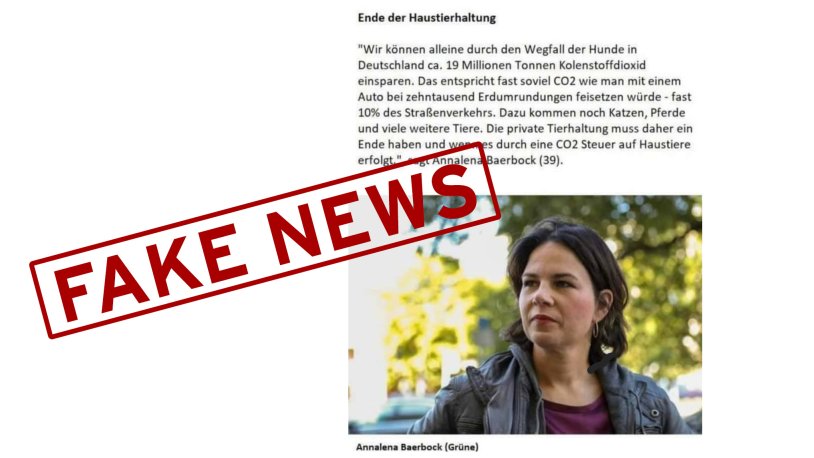 Annalena Baerbock Hot