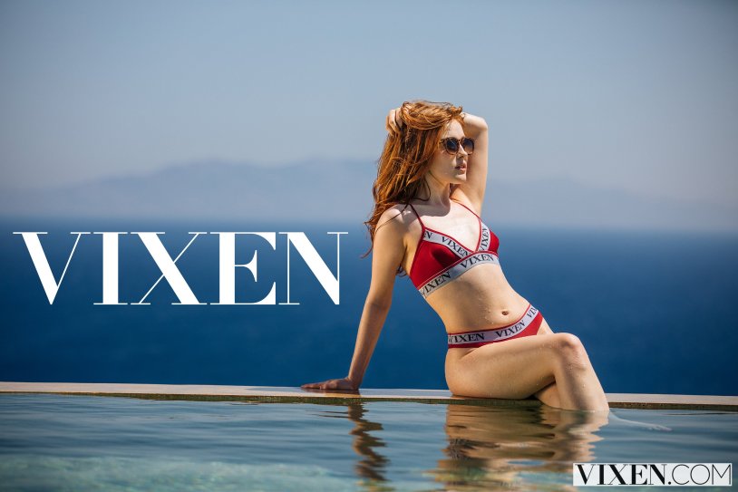 Vixen 2019