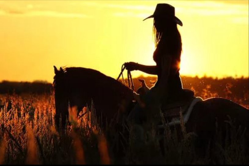 Pressure Zhenina AT Horse