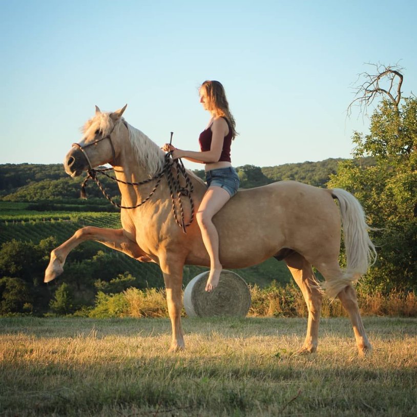 Penelope Cruz on a horse cowboy