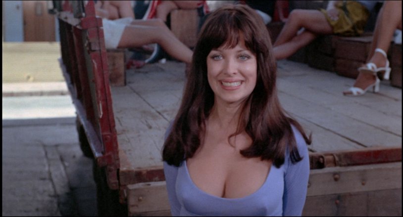 Blondes with hairy pubes retro