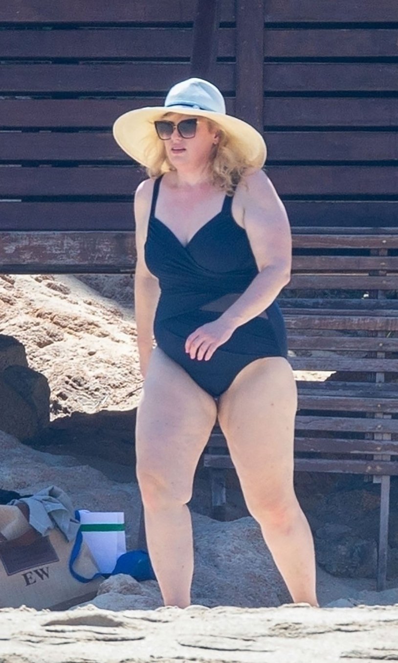 Rebel Wilson in underwear