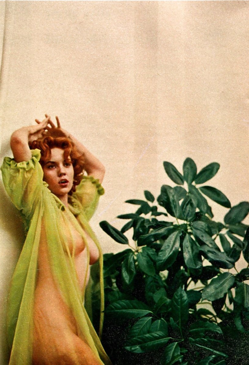 Collin Farrington Playboy