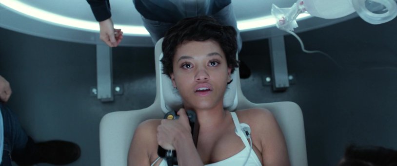 Elizabeth Rizer porn business