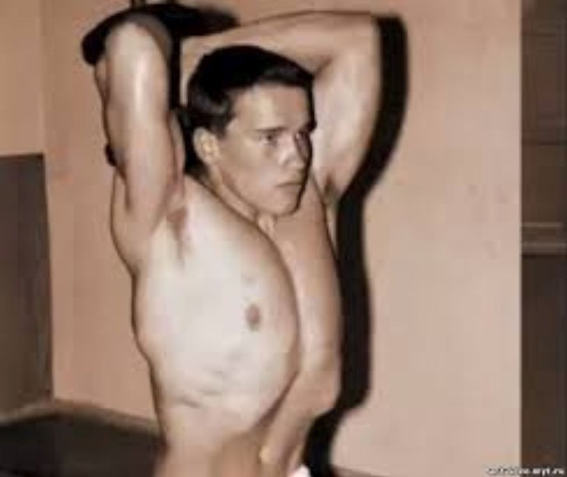 Arnold Schwarzenegger Terminator 2 Naked