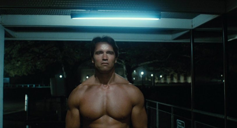 Terminator Arnold Schwarzenegger