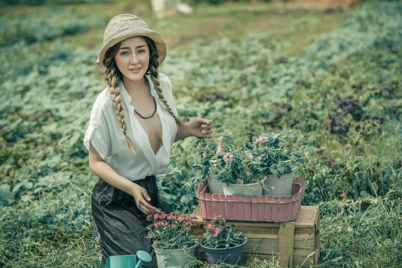 Alina Pivovar Dubnitsky