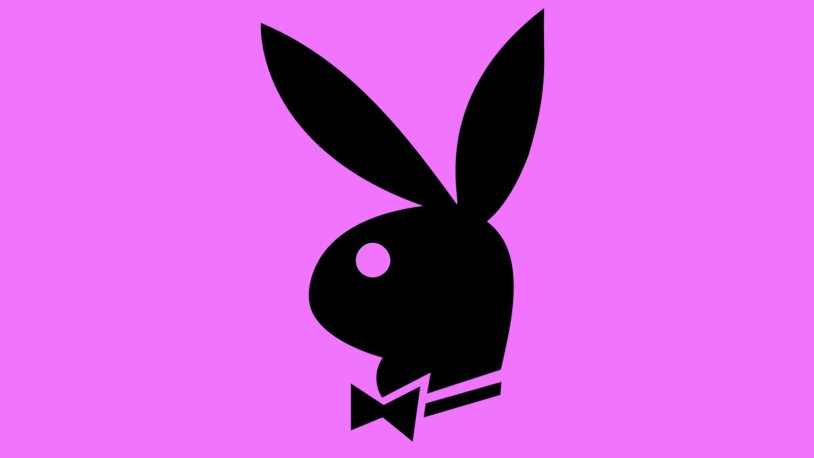 Rabbit playboy