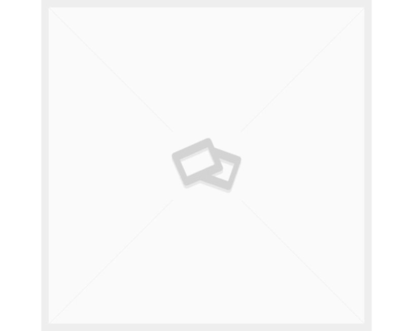 NN-DF383BZPE (inverter)