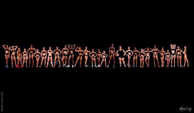 Howard SChatz Athlete High Quality