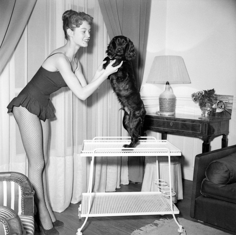 Jean-Louis Trentinyan and Brigitte Bardo