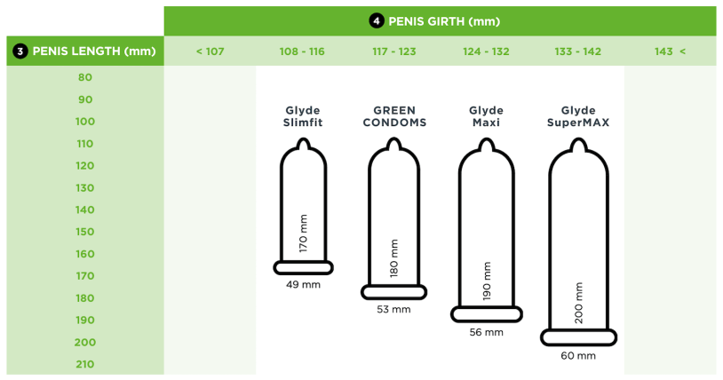Penis Size by Age