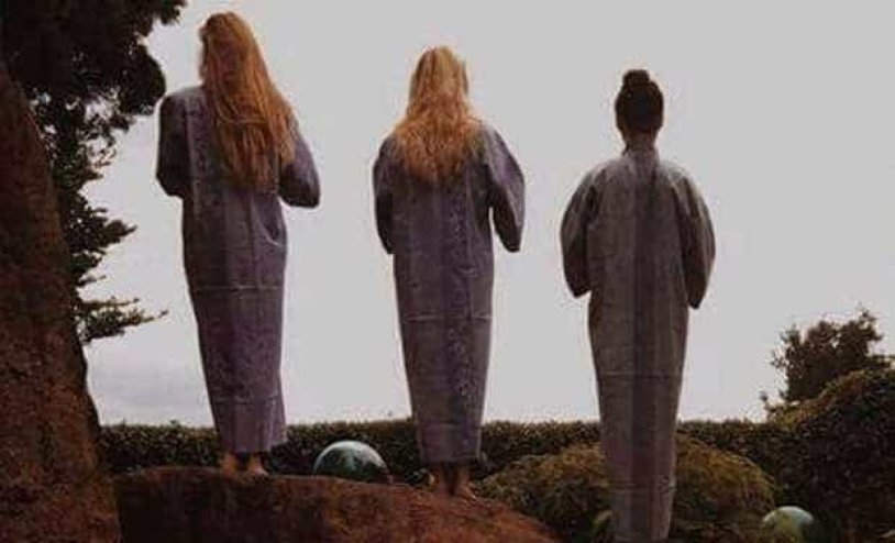 The hook Gamakatsu LS-3513F