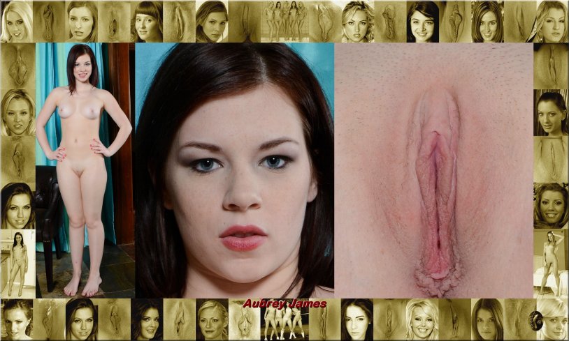 Beautiful female vaginas with face