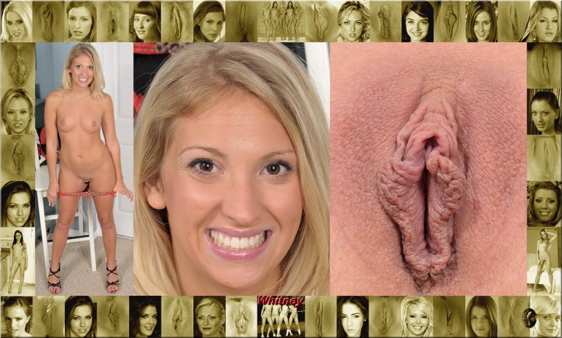 The face of the girl and her vagina
