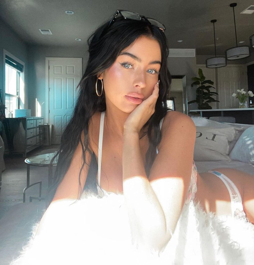 Dominica Chibov model