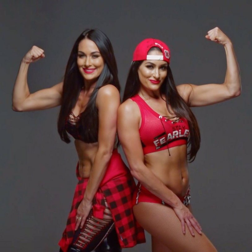 Wwe the Bella Twins