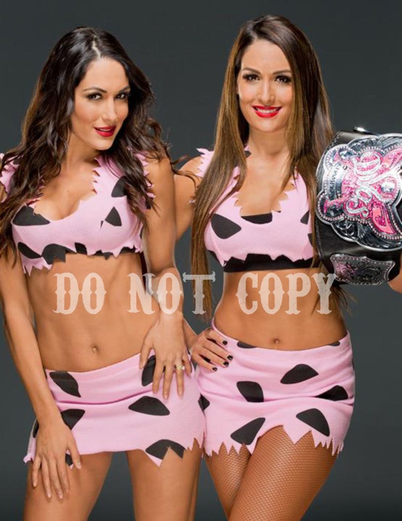 WWE Bella twins