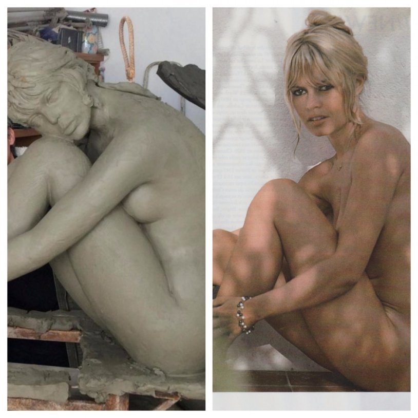 Brigitte Bardo Pornography