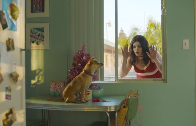 Barbara Ferreira is thin