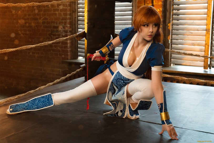 Kasumi Dead Or Alive Cosplay