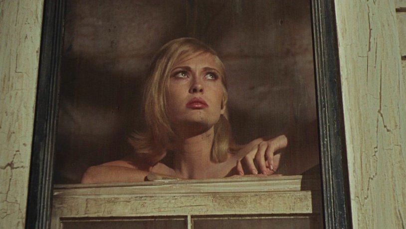 Fei Danai scam Thomas Kruna