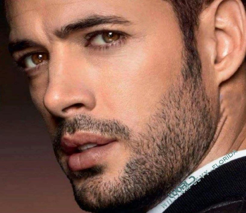 William Levy with a beard