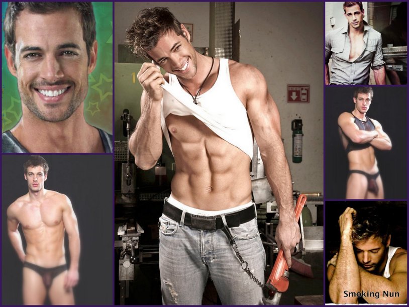 William Levy movie Addicted