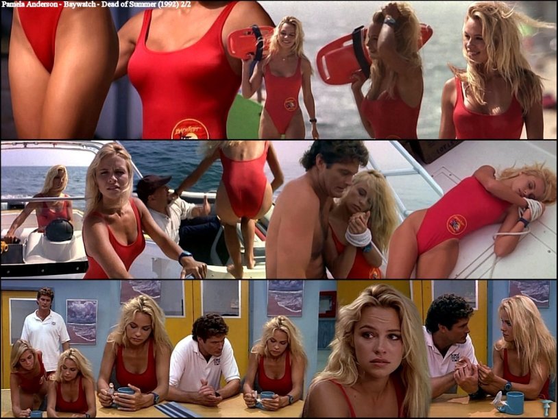 Pamela Anderson Rescuers Malibu
