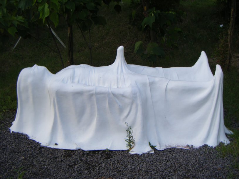 Jacqueline Taylor Onlyfans