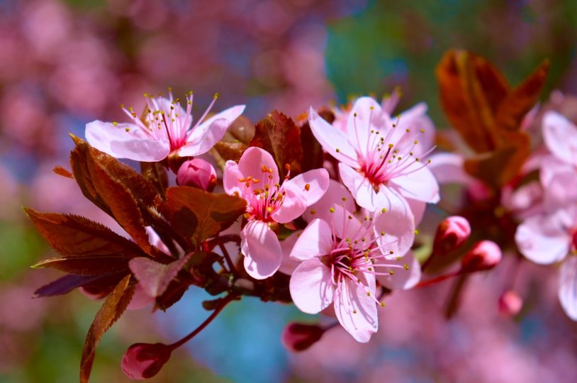 Julia Kovalchuk 2022