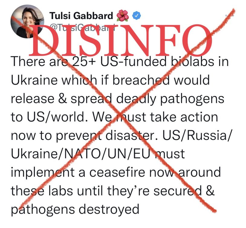 Tulsi Gabbard Legs
