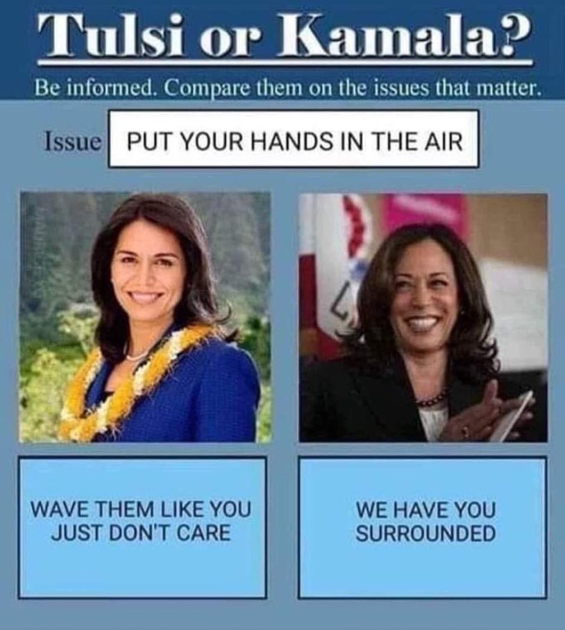 Kamala harris mems