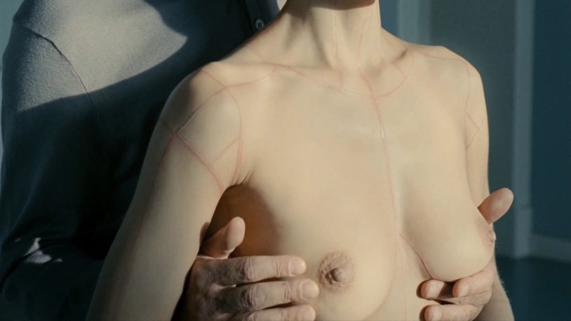 The skin in which I live