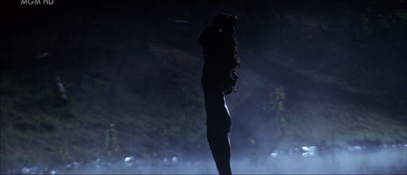 Basic Instinct 1992 Sharon Stone