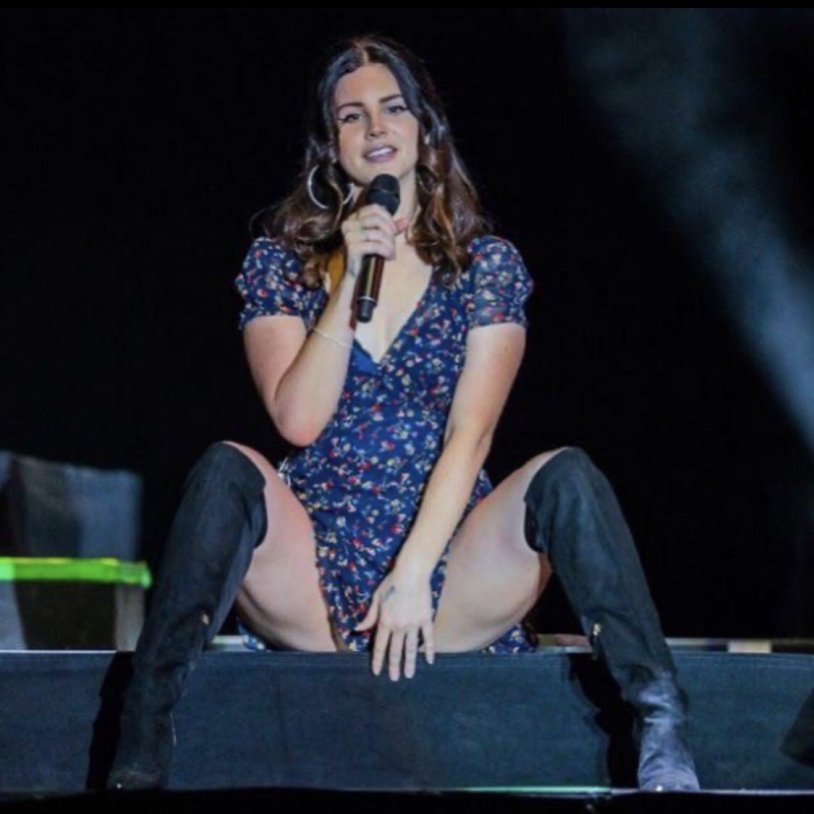 Lana Del Rei Lollapalooza