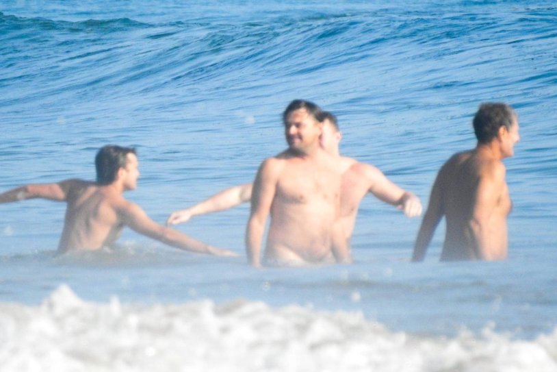 Wolf with Wall Street Cocaine