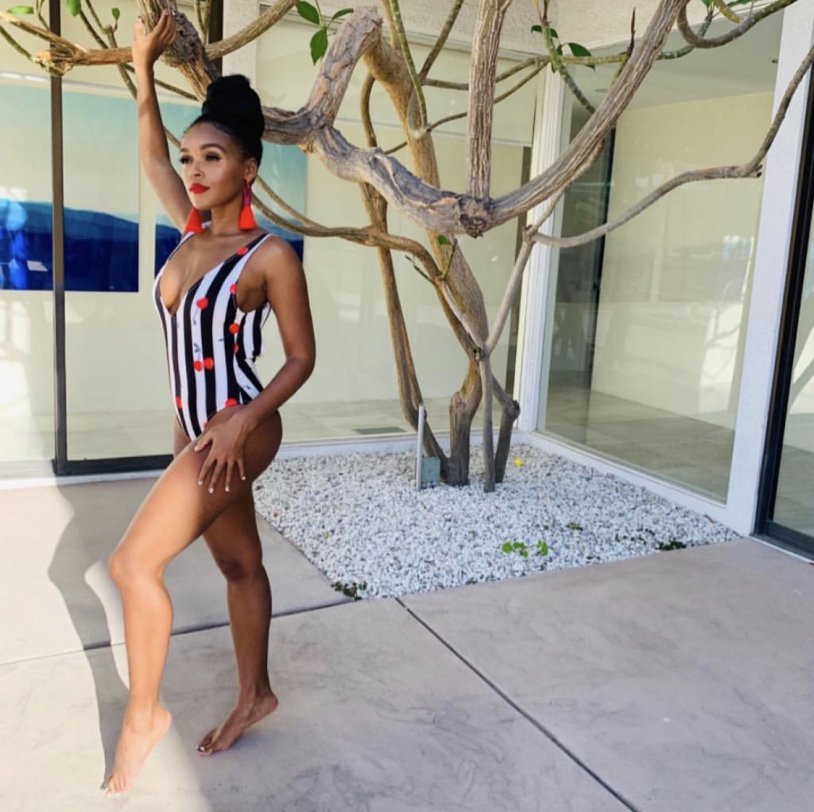 Janelle Monáe in a swimsuit