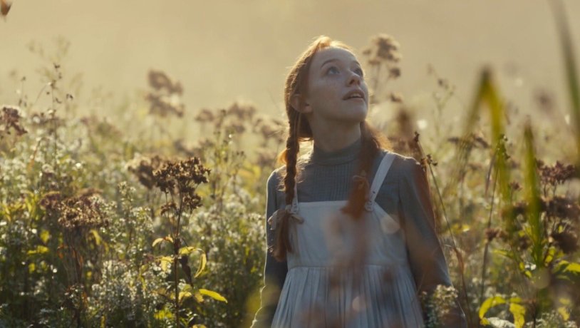 Ann from green roofs 2017