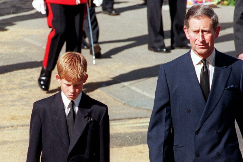 The murder of Princess Diana