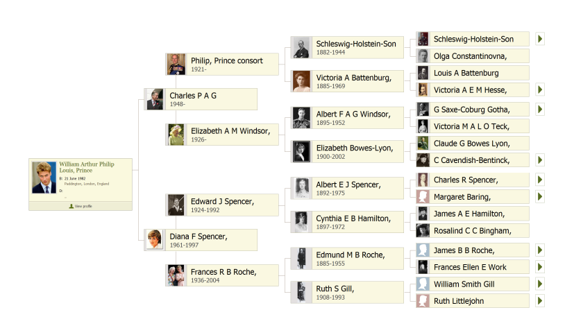 Diana Spencer breasts